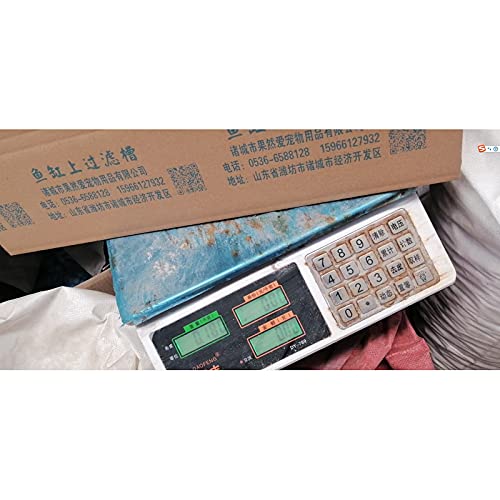 Totruning Fishing Net Aluminum Pole Metal And Plastic Easy To Use Creek Toddler Ring Toy (Multicolor, One Size) #TOP6