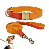 【Réglage aisé et utilisation pratique】Le collier est équipé d'une boucle métallique haute résistance, qui se ferme et s'ouvre d'une simple pression pour un usage des plus faciles. Avec ses multiples œillets de réglage, la longueur du collier peut être ajustée avec précision et flexibilité, s'adaptant aisément à la croissance de votre animal ou à différentes situations d'utilisation.