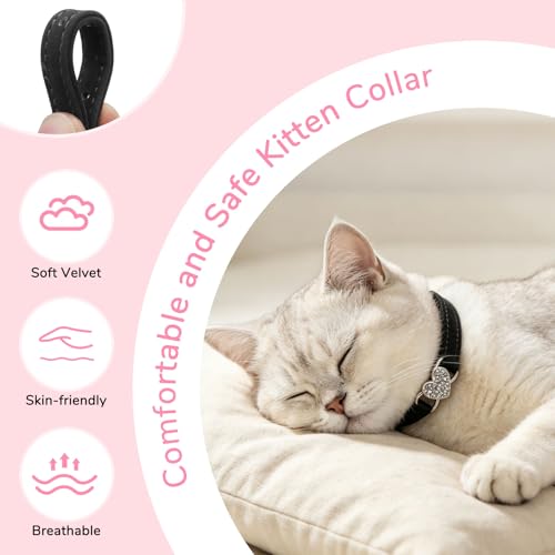 Collar de gato seguro con elástico ajustable y cascabel 3