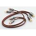 Produktbild Focal EY05 - Focal Elite Y-Cinchkabel 0,5m