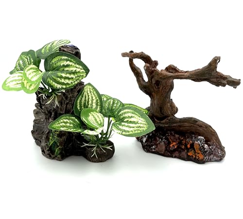 ঒   B o lH  IuWF ANAE roE eE CeA CAEg 2Zbg (؂QZbg)