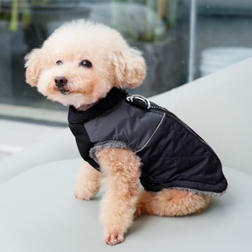 JoyDaog Warmer Fleece-Hundemantel, Hundejacke, Hundekleidung für kleine Hunde, D-Ringe, wasserdichte Welpenjacke für kalten Winter, schwarz, XS