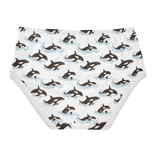 Girls Underwear Soft Cotton Killer Whale Kids Panties in Sizes 2/3t, 4t, 5t, 6 and 82