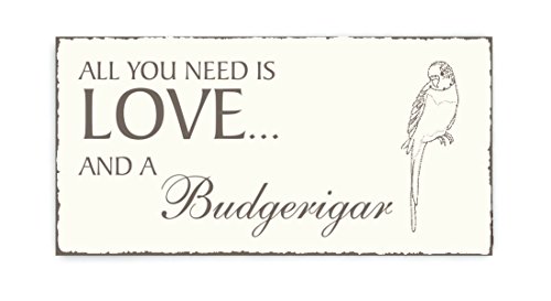 Targa decorativa « All You Need Is Love and a