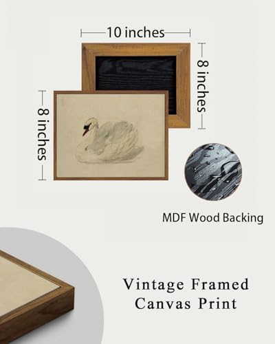 Image of KISSFOX Framed Wall Art Vintage Wall Decor Swan Pictures Retro Animal Canvas Art Rustic Aesthetic Paintings Farmhouse Artwork For Bedroom Living Room Kitchen