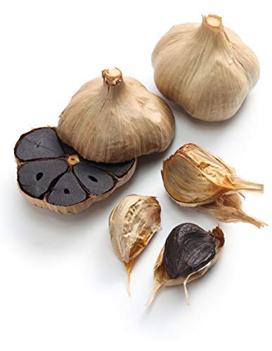 Schwarzer Knoblauch fermentiert aus Spanien - ganze Knollen - 1 Stück bis 1kg lose (500g)