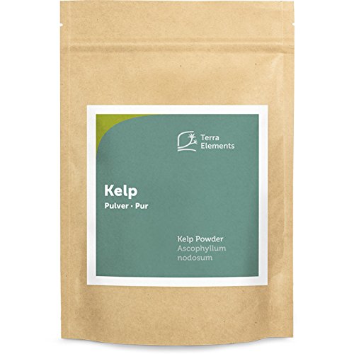 Terra Elements Kelp Pulver 250 g