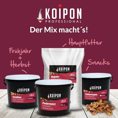 KOIPON Seidenraupen 1,5 kg getrocknet, Naturfutter ergänzend zu Koifutter für japanische Koi & Goldfische, Fischfutter, Leckerli zur Handfütterung