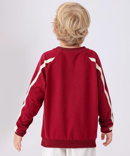 Image of GFQLONG 3 Pack Toddler Boy Girl Cotton Crewneck Sweatshirt Kids Lightweight Long Sleeves with Stripe Fall Fashion Tops