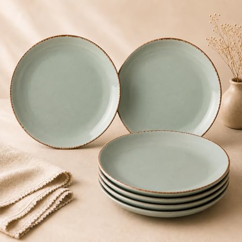 Image of The Earth Store Glossy Mint Marble 10 Inch Ceramic Plates Set of 6 Microwave & Dishwasher Safe Dinner Plates | Full Plates for Daily Use, Gifting