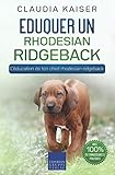  Eduquer un rhodesian ridgeback: L\'éducation de ton chiot rhodesian ridgeback