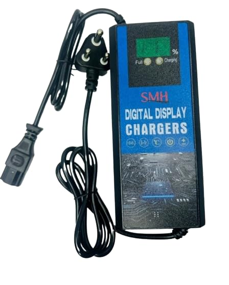 Generic Electric vehicle Display Charger Ev 48v Elecric Scooter Display Type Charger (LEAD ACID) (B0D9QTB8XN) Amazon Price History, Amazon Price Tracker