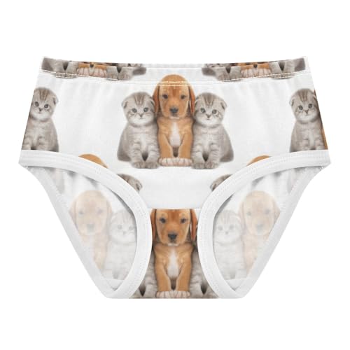 Cute Dog Cat White Toddler Underwear Custom 2t Cotton Panties Little Girl Stylish Undies Kids Briefs