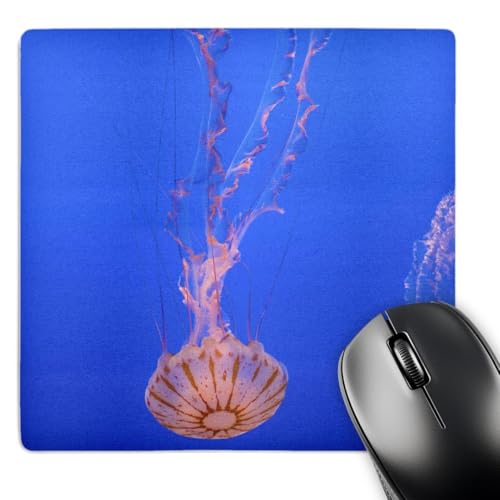 3dRose LLC 8 x 8 x 0.25 Inches Jellyfish Monterey Bay Aquarium California David R Frazier Mouse Pad (mp_88345_1)