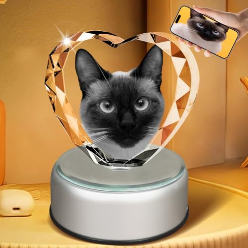 Qustiuve Cristal 3D personalizado con foto – Imagen de cristal grabado láser personalizada para bodas, cumpleaños, graduación | Regalos conmemorativos únicos para mascotas (gatitos) (140 x 40 x 130 mm