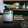 GAIA HERBS PRO Cognitive Formula - Brain Health & Blood Flow Support Supplement* - Circulation Support Supplement* with Fo-TI Root, Ginkgo Leaf, Gotu Kola Leaf - 60 Liquid Phyto-Caps (30 Servings)