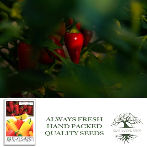 Santa Fe Grande Pepper Seeds for Planting (Capsicum annuum) – 50+ Non-GMO Heirloom Seeds by Isla’s Garden Seeds, Mild-to-Medium Chili Variety, Flavorful Fruits, Ideal for Pickling, Salsas & Fresh Use - Image 4