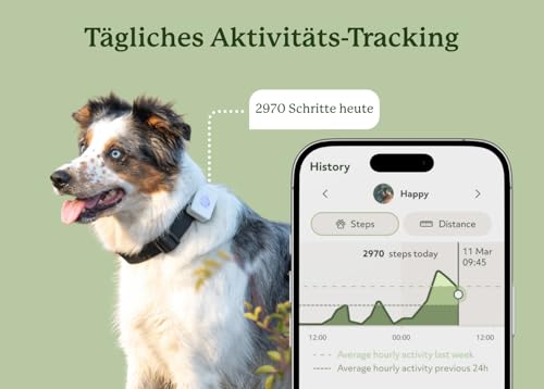 Lildog 2 GPS & Activity Tracker für Hunde | Wasserdicht, leicht, stoßfest | Live-GPS-Tracking & Standortverlauf | Schrittzähler & Aktivitätsmonitor | Hergestellt in Norwegen | Für alle Hunderassen