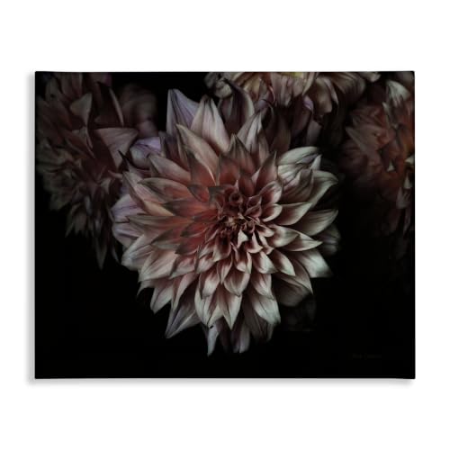 Stupell Industries 'Aged Flower Petal Photograph'| Canvas Art