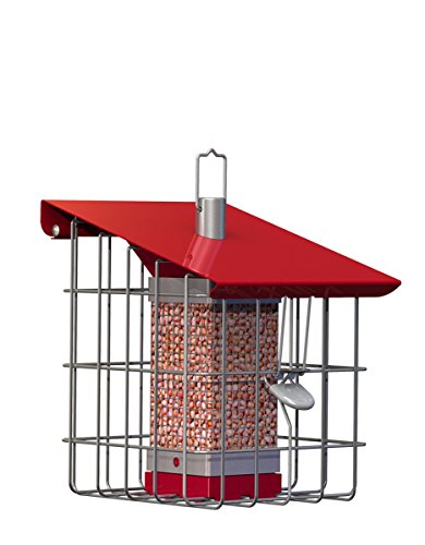 The Nuttery NC0010 Geohouse Compact Peanut/Sunflower Seed Feeder