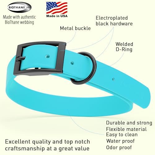 Image of Dogline Biothane Waterproof Dog Collar Strong Coated Nylon Webbing with Black Hardware Odor- Proof for Easy Care Easy to Clean High Performance Fits Small Medium or Large Dogs, Sky Blue