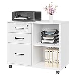 Storage Cabinets File