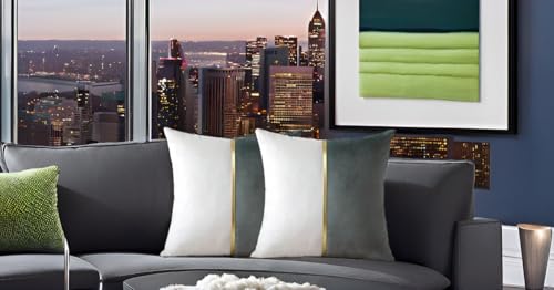 Image of HIMS Velvet Sofa Pillow Cover Set of 2, Luxury Cushion Cover 22 inch x 22 inch for Decorative Living Room Sofa Bedroom Car (22x22 Inch, Gray)