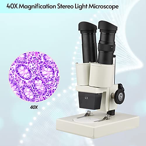 Staright Microscópio de luz estéreo de ampliação 40X Microscópio binocular composto para laboratório