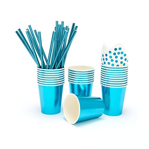 PHUNAT Vintage Partygeschirr-Set – Für 30 Gäste, Blau-weißes Porzellan-Design, Pappteller, Becher, Servietten