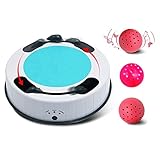 WINGPET Interactive Cat Toy Kitten Toys with Cat Ball Cat Toys for Indoor Cats, Simulate Hunting Mic