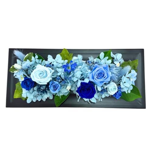 Lulu's Y vU[uht[ t[AW u[ Mtg {bNX pNAP[Xt 3WAY \ Ǌ| X^h u cu LO a ̓ hV̓ j JXj CeA v[g TCY:3