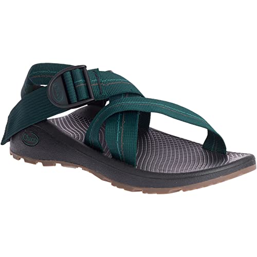 Image of Chaco Women's Zcloud Sandal