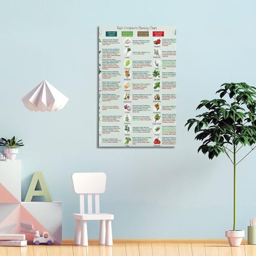 Image of GHJFDF Basic Companion Planting Chart Poster Garden Planting Types Reference Guide Wall Poster for Room Aesthetic Posters 16x24inch(40x60cm)