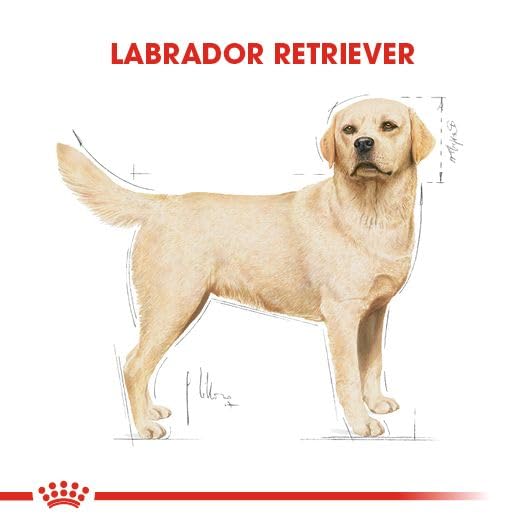 ロイヤルカナン ラブラドールレトリバー 成犬~高齢犬用 12kg ラブ ロイヤルカナン（ROYAL CANIN） ラブラドールレトリバー