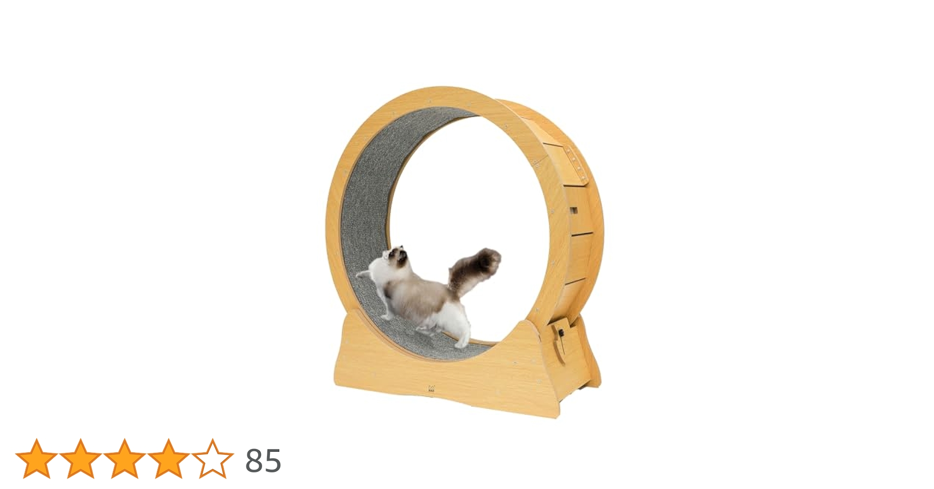 41KvqpEyMJL.jpg_BO30,255,255,