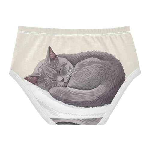 Girls Underwear Toddler 2t Cotton Panties Little Girl Colorful Briefs Undies Kids Gray Cat2