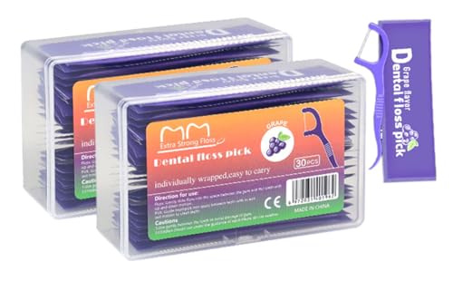 Floss Gang Fruit Flavor Individual Package Ultra Fine Adult Dental Floss Portable Individual Package (4)