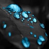 triple x syndrom folgen  Tripple X (Demo) [Explicit]