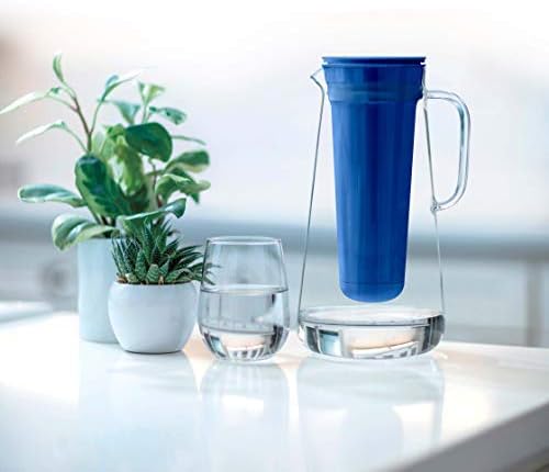 LifeStraw Home – Replacement Filter 1-Year Pack for Protection Against Bacteria, parasites, microplastics, PFAS and 30+ contaminants