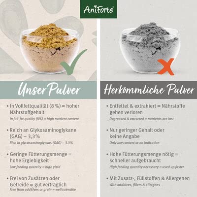 AniForte Grünlippmuschel Pferd 1kg - Natürliches Grünlippmuschelpulver in Vollfettqualität, Omega 3 & 6 Fettsäuren, Glycosaminoglycane 3,3%, Grünlippmuscheln Pferd unterstützt Gelenke & Gelenkfunktion