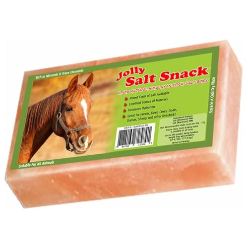 Horsemen's Pride 4.4 lb Salt Block on Rope