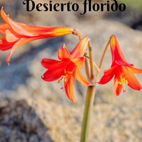 Desierto florido