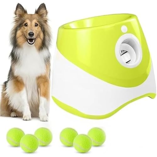 Queeninget{[`[A3̋ݒi3m / 6m / 9mj mߋAXgXA^\͌Am\PA^ƒ^ɓKĂAƉOŎgpł܂B (CgO[,6̃{[)