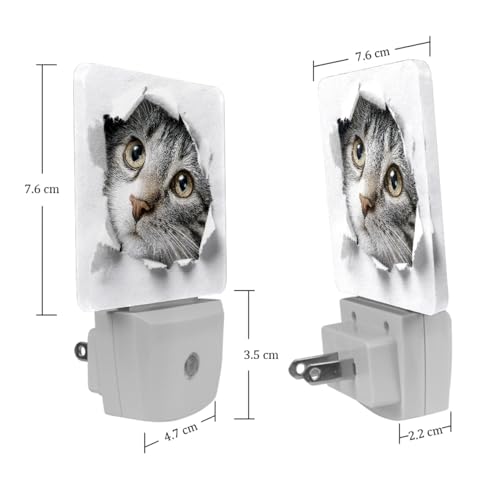 Image of NEWzone Funny Cat Night Light [2 Pack], Plug in Wall Led Night Lights Decor for Boys Girls Room, Dusk to Dawn Sensor Wall Lamp for Stairway /Bedroom /Kitchen /Nursery Room