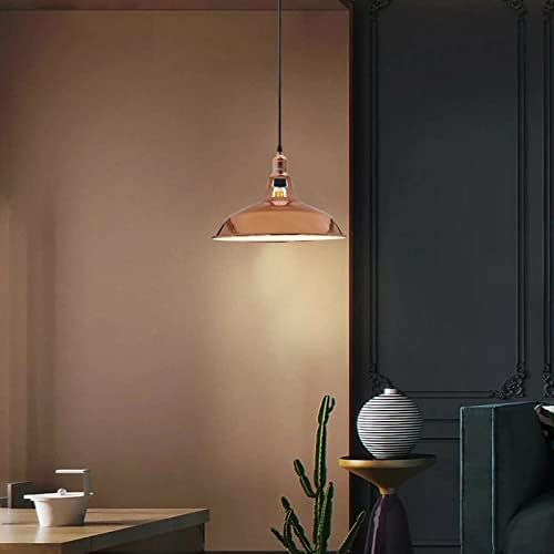 LEDSone Retro Metal-Lamp Shades Living Room Ceiling Light Barn Shaped 30cm Easy fit Lampshades only for Pendant Lamp for Kitchen Living Room - Image 2