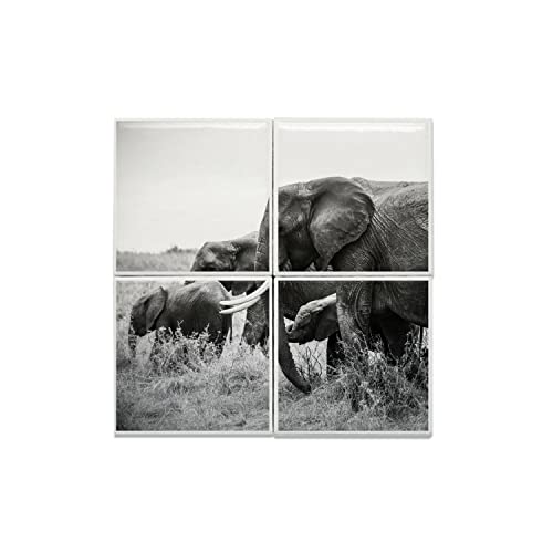 Carreaux céramique éléphant : le cadeau déco idéal pour les passionnés de nature sauvage