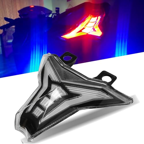 DREAMIZER LED Motorcycle Taillight,Smoke Black Motorcycle Tail Light with Brake Running Turn Signals Compatible with Kawasaki Ninja ZX-6R ZX-10R