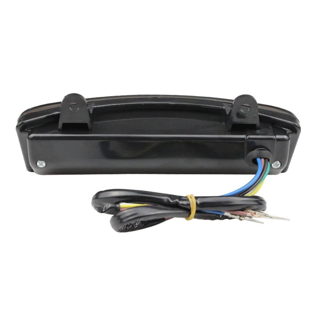 Riloer Fanale posteriore del motociclo luce di posizione lampeggiante luce di stop per Harley Davidson FLHX/FLTRX Street Glide Touring, per Tou-ring Ro-ad Gli-de Cus-tom FLTRX 2010-2013, EFI -FLTRI