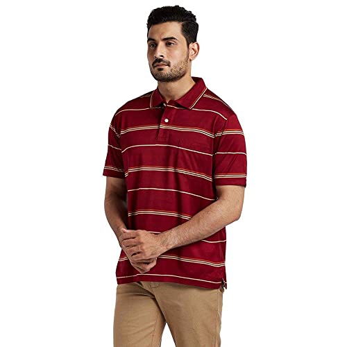 Image of Color Plus Stripes Cotton Regular Fit Mens T-Shirt