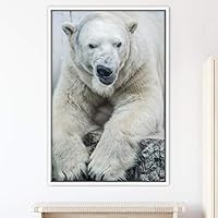 Framed Canvas Wall Art Bear Animals Bear Expressive Living Room Multicolor Photography Tropical - 16x24 inches